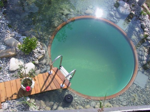A natural plunge pool can fit in must suburban yards...