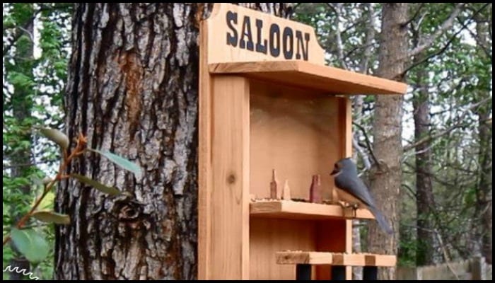 Saloon Bird Feeder