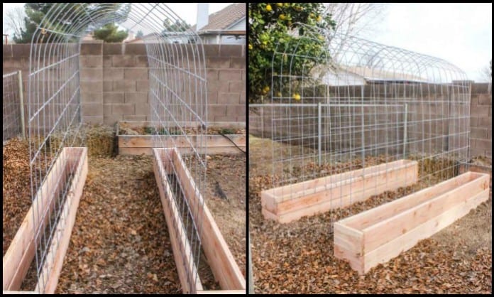 Trellis and Raised Garden Bed Combo