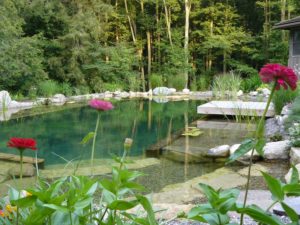 A natural pond designed and built by BioNova