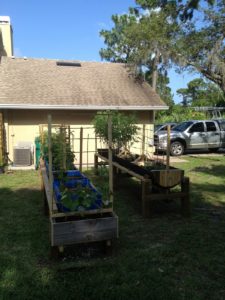 Plastic Barrel Raised Garden Bed