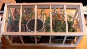 How To Build A Miniature Greenhouse