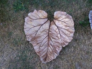 Crafting Stunning DIY Concrete Leaves for Your Garden in 8 Simple Steps!