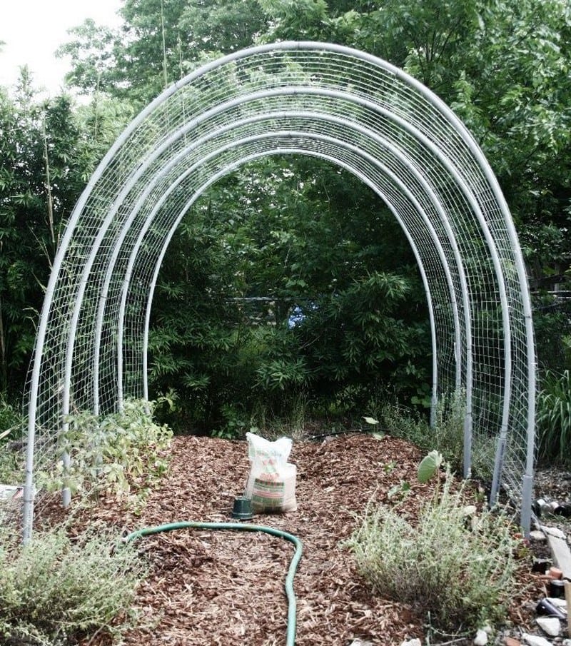 DIY Hoop House Trellis | Your Projects@OBN