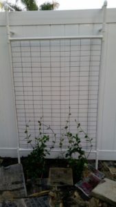 PVC Trellis