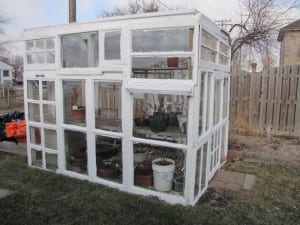 An Amazing Greenhouse From Old Windows