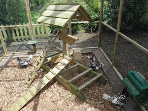 DIY Chicken Jungle Gym