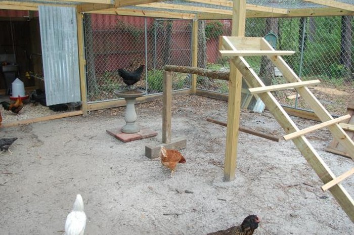 DIY Chicken Jungle Gym