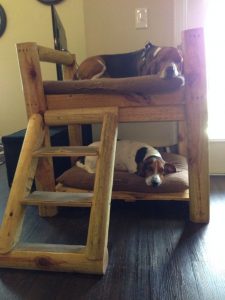 Dog Bunk Bed: 10 Easy Steps to a Comfy Space – Your Projects@OBN