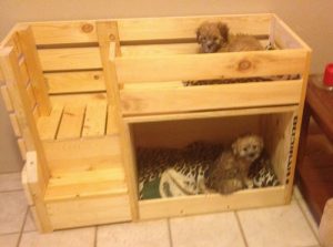 Dog Bunk Bed: 10 Easy Steps to a Comfy Space