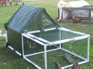 PVC Chicken Tractor