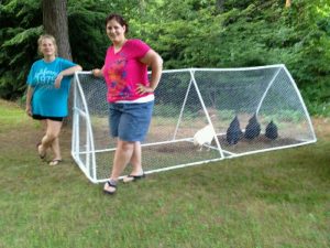 PVC Chicken Tractor