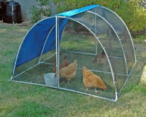 PVC Chicken Tractor