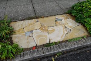 Pebble Mosaic Stepping Stones