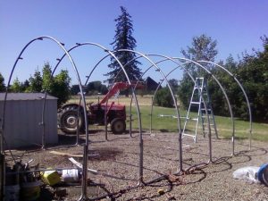 Old trampoline turned shed