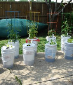 Learn how to make a self-watering tomato planter | Your Projects@OBN