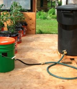 Learn how to make a self-watering tomato planter | Your Projects@OBN