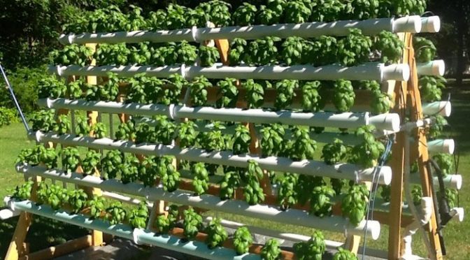 Build an Efficient A-Frame Hydroponic System! | Your Projects@OBN