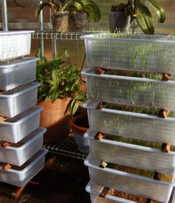 Make Your Own Inexpensive Livestock Fodder Growing System! 