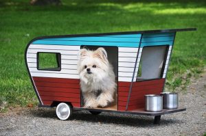 Pet Trailer