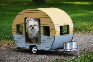 Pet Trailer