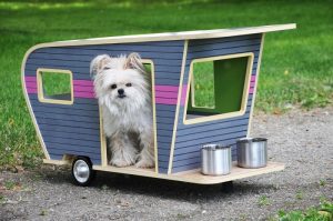 Pet Trailer