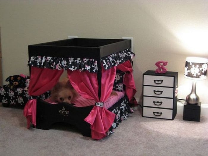 Dog Bedroom