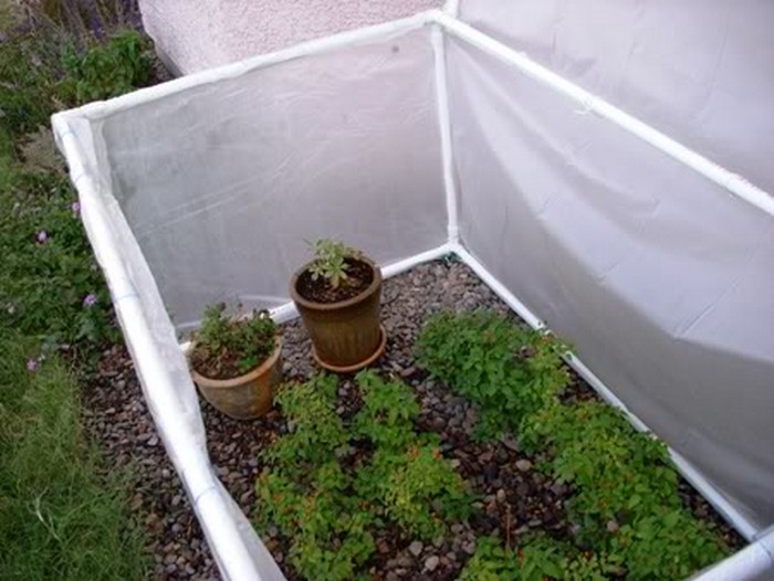 Fold-down greenhouse