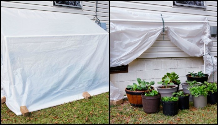 Fold-down greenhouse