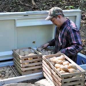 Old Fridge Root Cellar