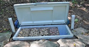 Old Fridge Root Cellar