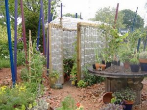 Plastic Bottle Greenhouse