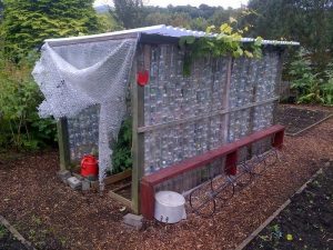 Plastic Bottle Greenhouse