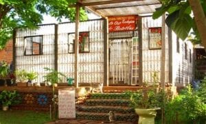 Plastic Bottle Greenhouse