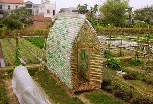 Plastic Bottle Greenhouse