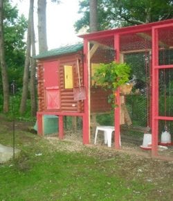 Old Playhouse Turned Chicken Coop Your Projects At Obn