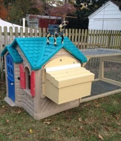 Old Playhouse Turned Chicken Coop Your Projects At Obn