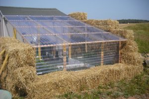 Straw bale greenhouse