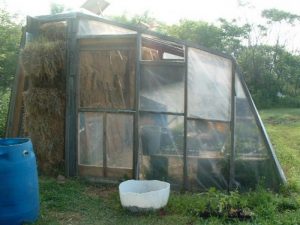 Straw bale greenhouse