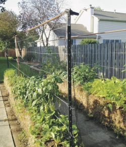 Learn how to grow a straw bale garden! | Your Projects@OBN