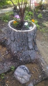 Tree Stump Planter