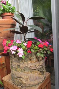 Tree Stump Planter