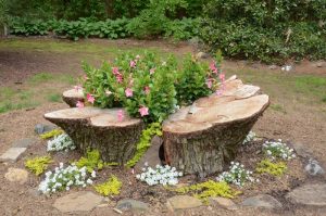 Tree Stump Planter