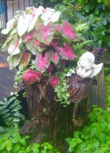 Tree Stump Planter