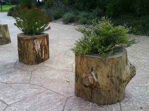 Tree Stump Planter