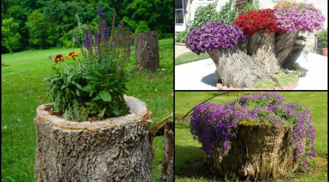 Turn an ugly tree stump into a beautiful planter! | Your Projects@OBN