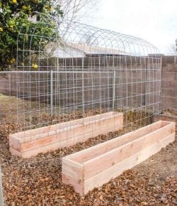 Grow your own produce with and a trellis and raised garden box combo