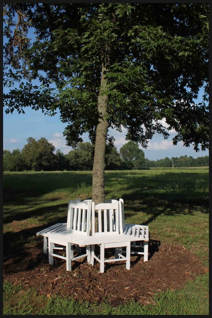 Bench Around a Tree from Kitchen Chairs