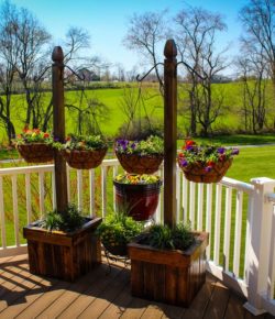 Build a beautiful hanging basket planter for displaying flowers