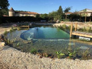 This pond was built by Beverly Easell and her family at a cost of E18,000, a saving of more than E100,000 over the quote from a natural pond company.